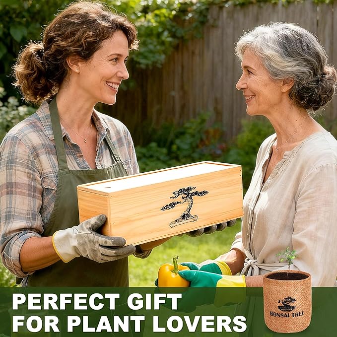 5 Pack Bonsai Tree Kit - Image 6