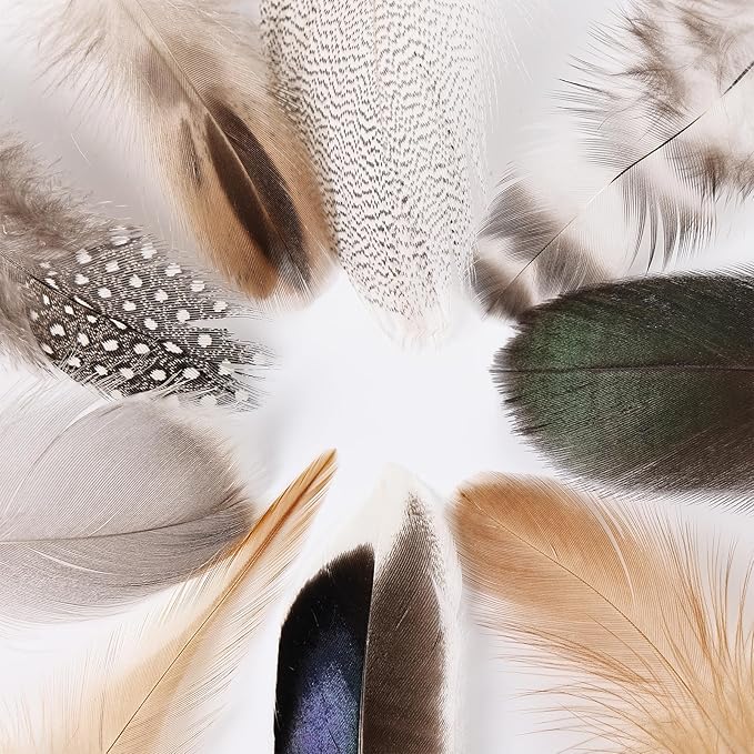 MAOFENG 270pcs 9 Styles Natural Bulk Feathers Assorted Mixed Feathers - Image 4