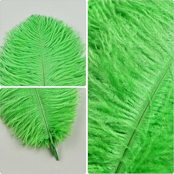 THARAHT Green Ostrich Feathers 24pcs Natural Bulk 10-12Inch 25cm-30cm - Image 3