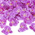 40 Pieces Orchid Petals Artificial Decorations Wedding Party Orchids Heads by Luinabio