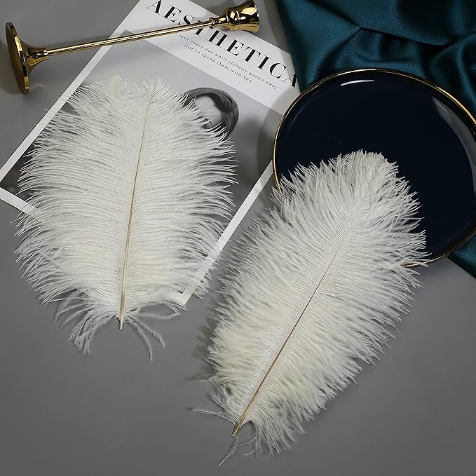 Ballinger Beige Ostrich Feathers Bulk - Image 5