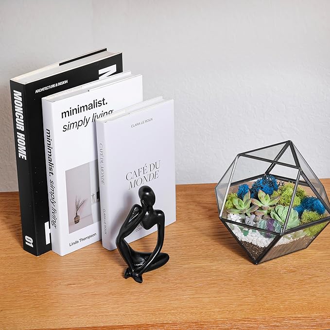 DIY 7" Geometric Terrarium Kit - Image 8