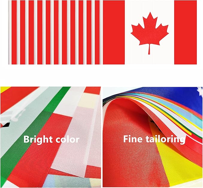 12 Pack Canada Desk Flags Set, Canadian Small Mini Table Office Flags - Image 4