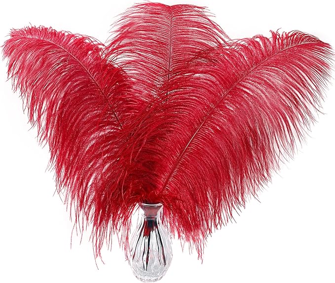 Larryhot Red Large Ostrich Feathers by Larryhot