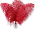 Larryhot Red Large Ostrich Feathers by Larryhot