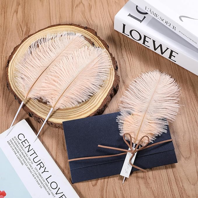 SOGUGOM Light Salmon Ostrich Feathers - Image 6