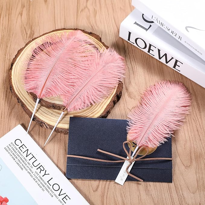 SOGUGOM Pink Craft Ostrich Feathers - Image 6