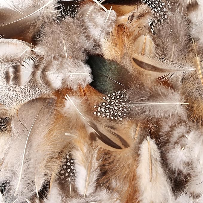 MAOFENG 270pcs 9 Styles Natural Bulk Feathers Assorted Mixed Feathers - Image 5