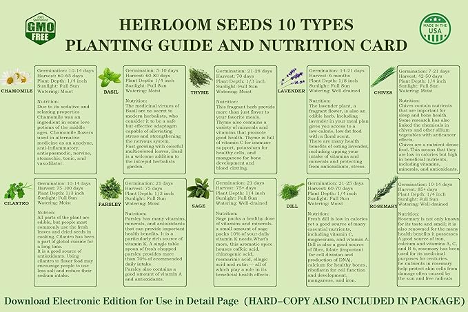 10 Herb Seeds Garden Starter Grow Kit - Image 3