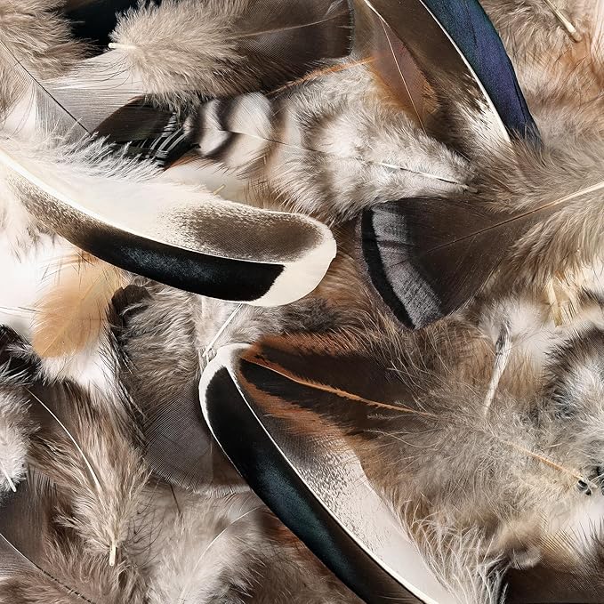 MAOFENG 120pcs 7 Styles Natural Bulk Feathers Assorted Mixed Feathers - Image 5