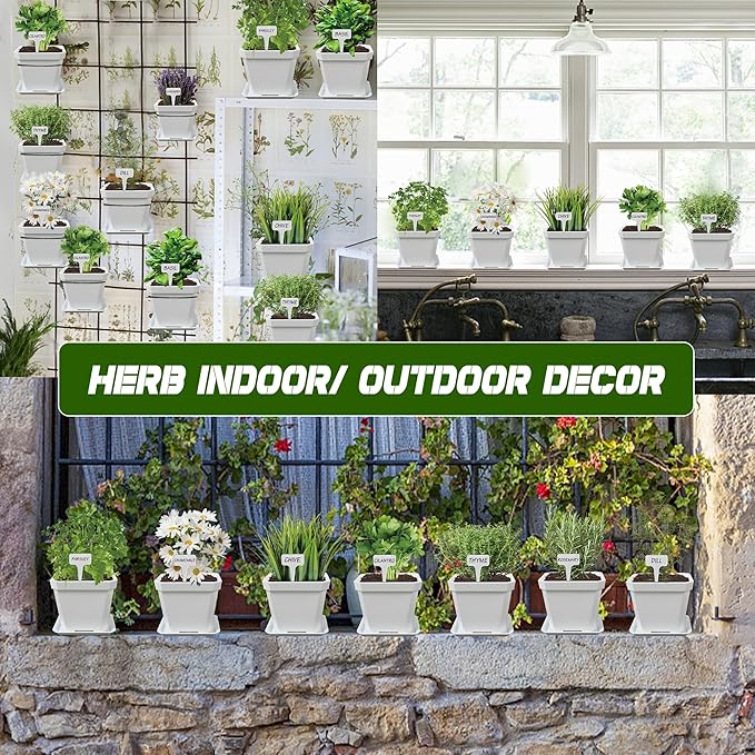 10 Herb Seeds Garden Starter Grow Kit - Image 4