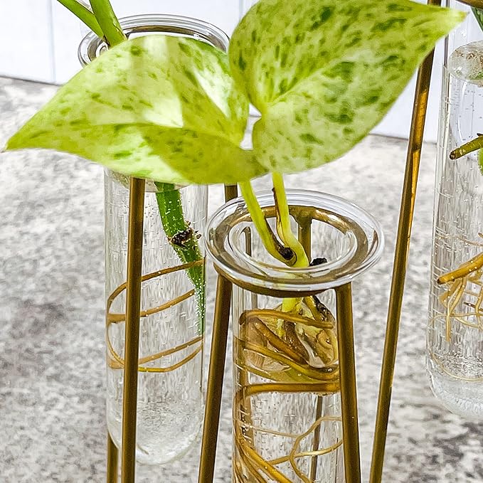 Propagation Station Terrariums - Image 6