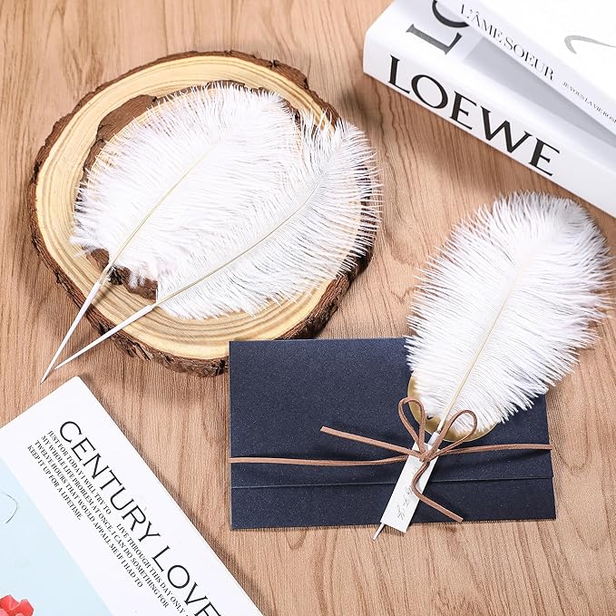 SOGUGOM White Craft Ostrich Feathers - Image 6