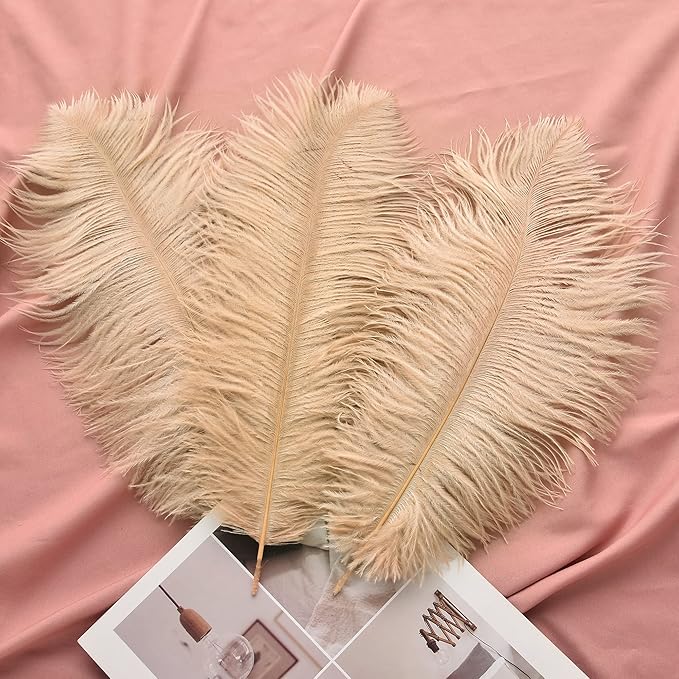 Ballinger Champagne Ostrich Feathers Bulk - Image 5
