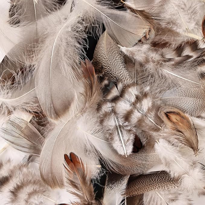 MAOFENG 210pcs 7 Styles Natural Bulk Feathers Assorted Mixed Feathers - Image 4