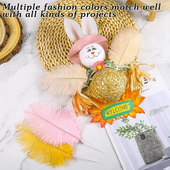 SOGUGOM Champagne Craft Ostrich Feathers - Image 4