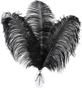 Larryhot Black Ostrich Feathers Bulk by Larryhot