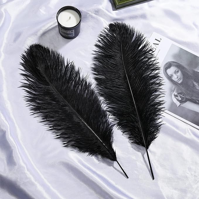 Larryhot Black Ostrich Feathers Bulk - Image 7