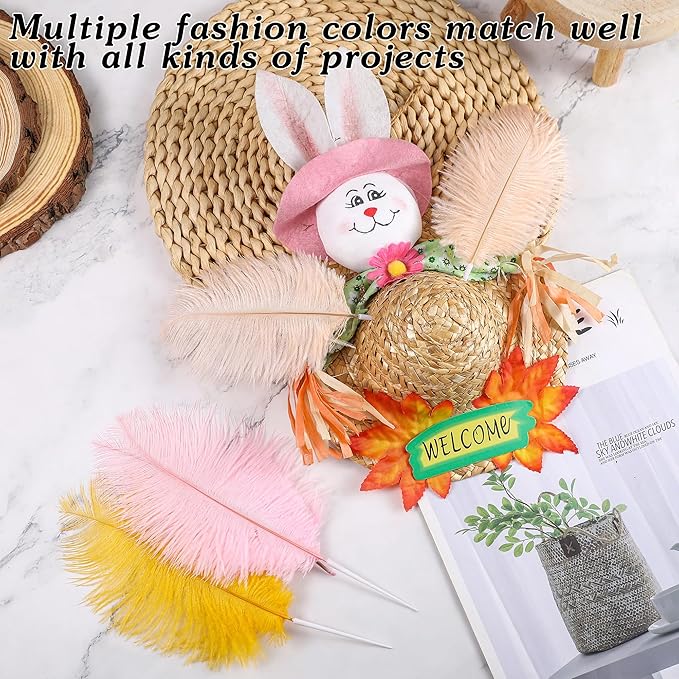 SOGUGOM Light Salmon Ostrich Feathers - Image 4