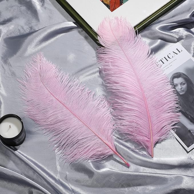 Larryhot Pink Long Ostrich Feathers - Image 7