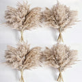 40 PCS Nature Pampas Grass Bouquet Decor by Unknown