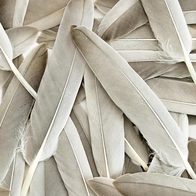 FeelfunFeather 120pcs Natural Gray Goose Cochettes Feathers Bulk 4-6 inches - Image 5