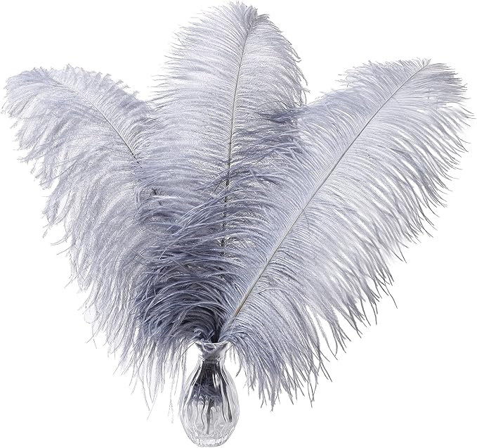 Larryhot Natural Ostrich Feathers by Larryhot
