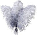 Larryhot Natural Ostrich Feathers by Larryhot