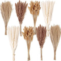 200PCS Dried Flower Bouquet – Pampas Grass, Floral Decor by ANPROOR