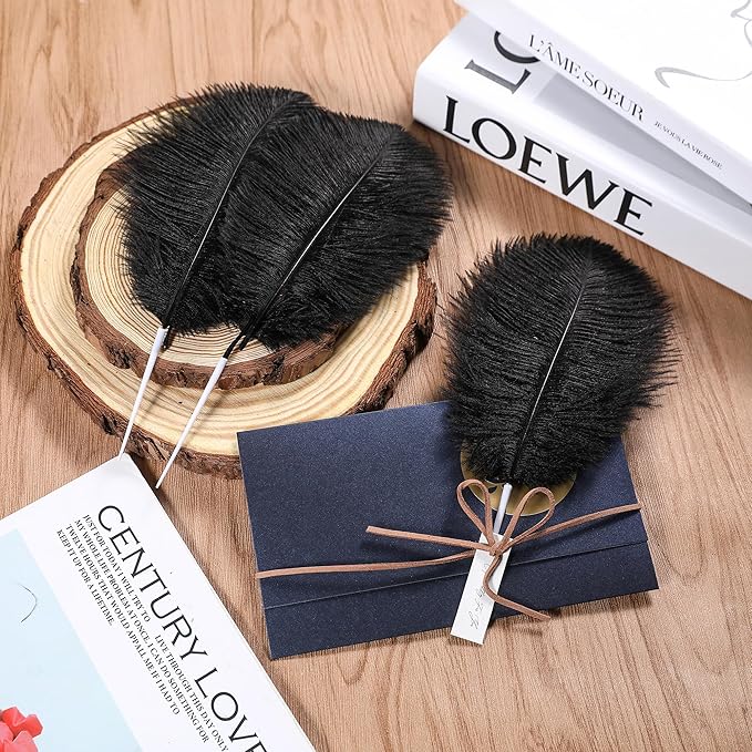 SOGUGOM Black Craft Ostrich Feathers - Image 6