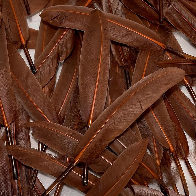 FeelfunFeather 120pcs Coffee Brown Goose Cochettes Feather Natural Bulk 4-6 - Image 5