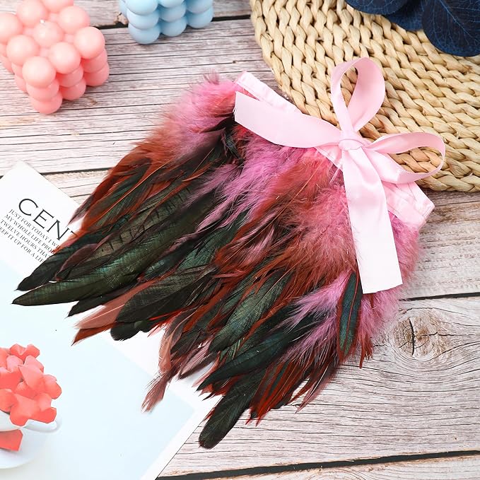 Holmgren Pink Rooster Feathers Trim - Image 3