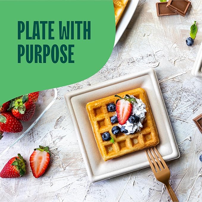 100% Compostable Square Paper Plates - Image 4