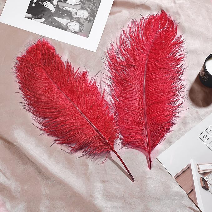 Larryhot Red Large Ostrich Feathers - Image 6