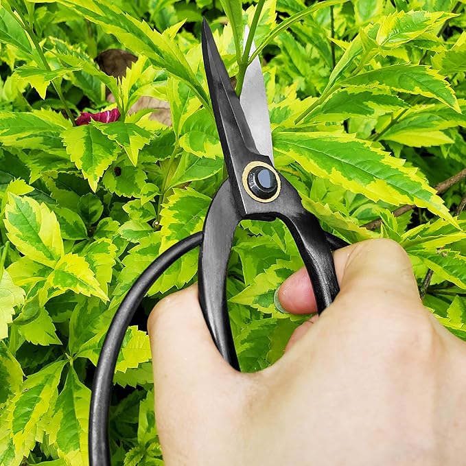 gonicc Professional 7.3" Bonsai Scissors, - Image 5