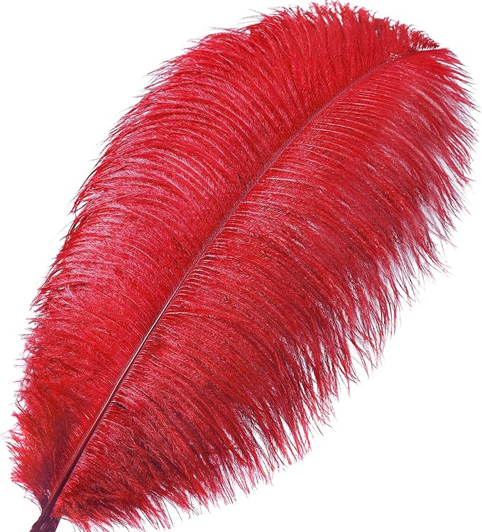Larryhot Red Large Ostrich Feathers - Image 3