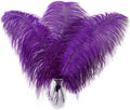 Larryhot Purple Large Ostrich Feathers by Larryhot