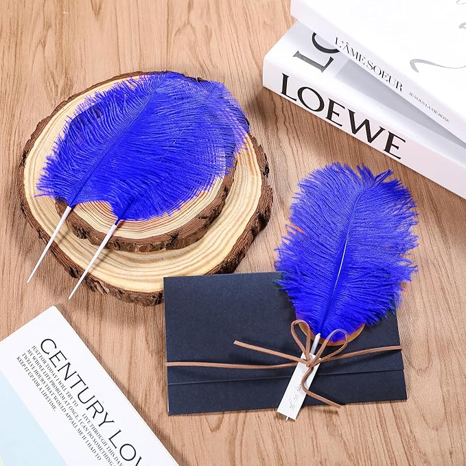 SOGUGOM Blue Craft Ostrich Feathers - Image 6