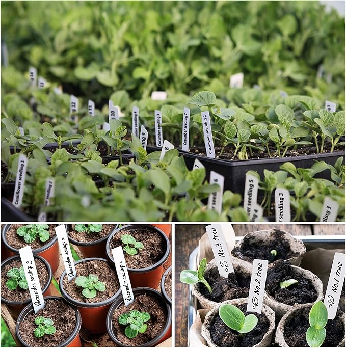 Plant Labels 4 Inch 300Pcs Plastic Plant Name Tags - Image 6