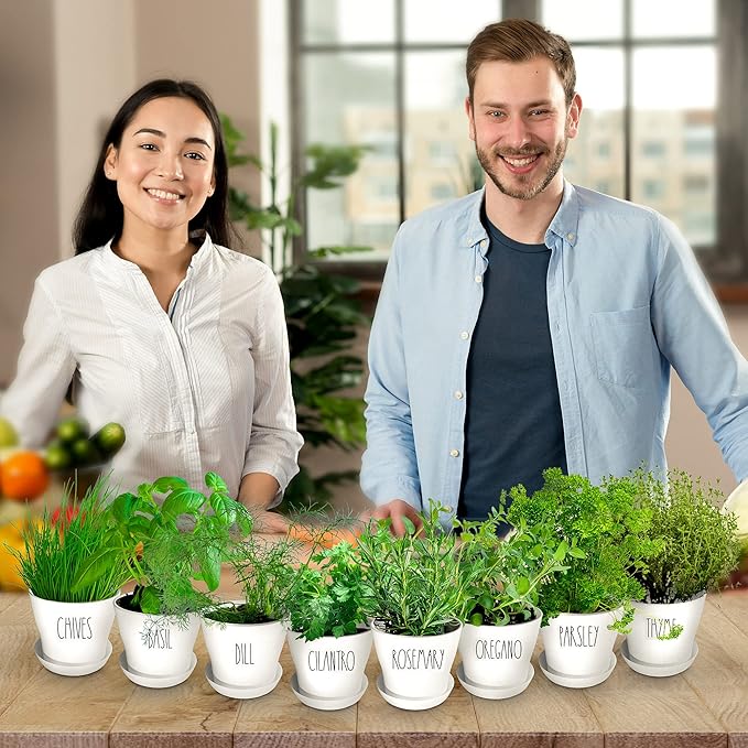 Deluxe Indoor & Outdoor Herb Garden Kit – 8 or The Most Popular Culinary Herbs - Image 6