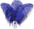 Larryhot Royal Blue Big Feathers by Larryhot