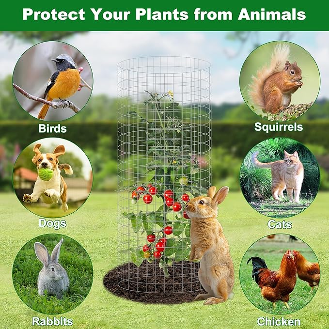 winemana 12 Set Garden Plant Protector Cage, 24x12 in Metal Wire Protectors - Image 4