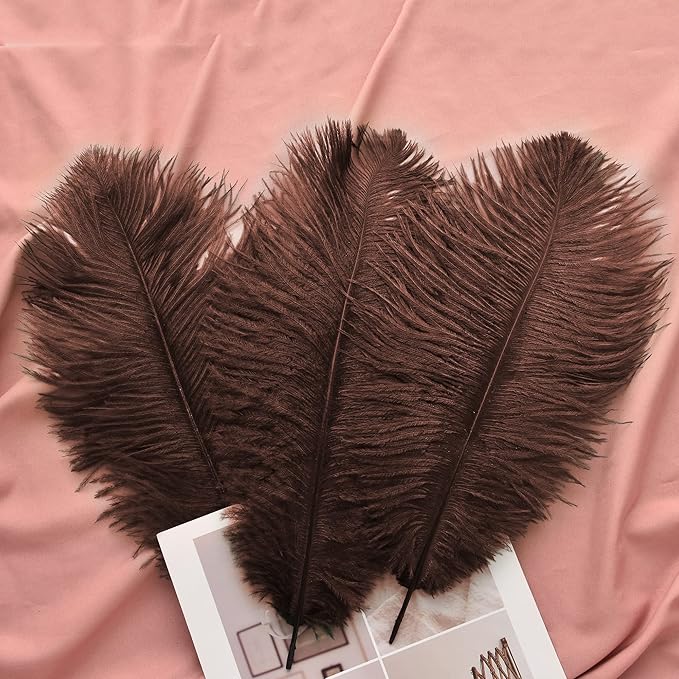 Ballinger Brown Ostrich Feathers Bulk - Image 5