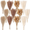 300 PCS Dried Flower Bouquet – Pampas Grass, Floral Decor by ANPROOR