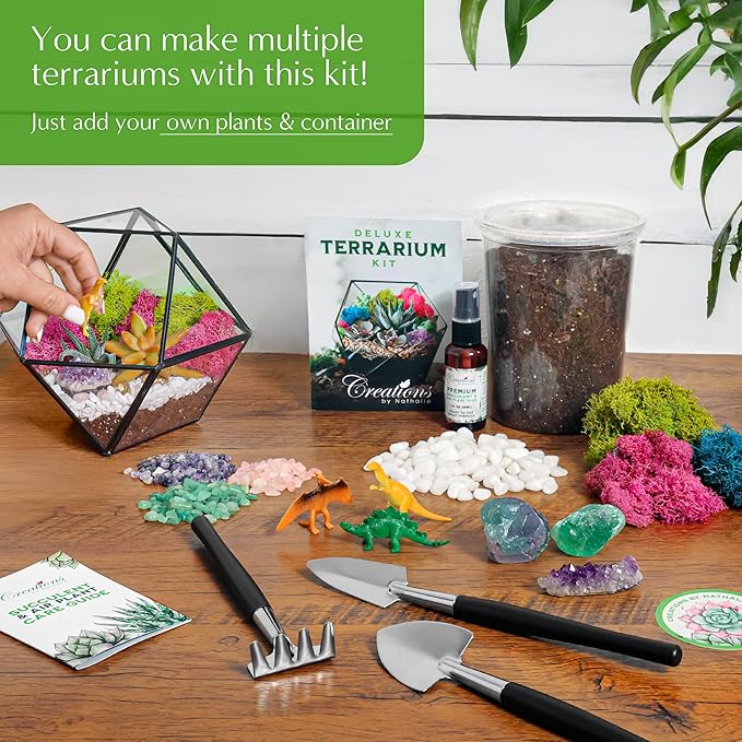 – DIY Large Terrarium Starter Kit - Image 3