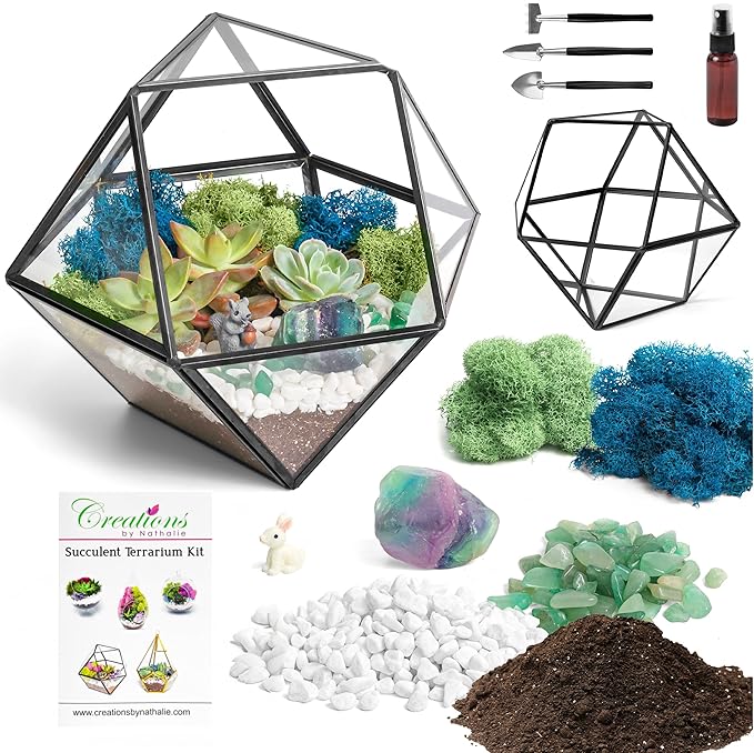 DIY 7" Geometric Terrarium Kit by CreationsbyNathalie