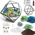DIY 7" Geometric Terrarium Kit by CreationsbyNathalie