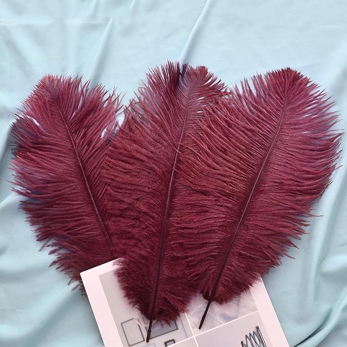 Ballinger Burgundy Large Ostrich Feathers - Image 6