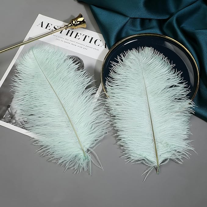Ballinger Aqua Green Ostrich Feathers - Image 4