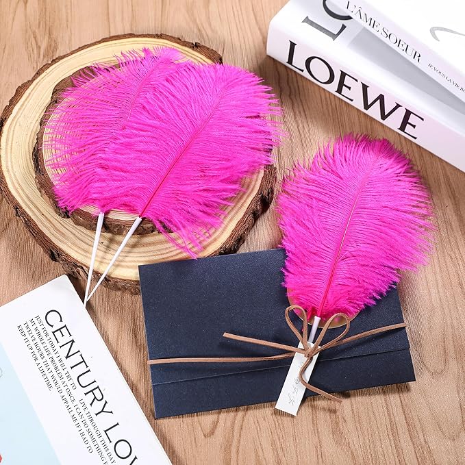 SOGUGOM Fuchisa Craft Ostrich Feathers - Image 6
